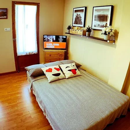 Apartamento Inmobiliaria - Admite Mascotas Formigal